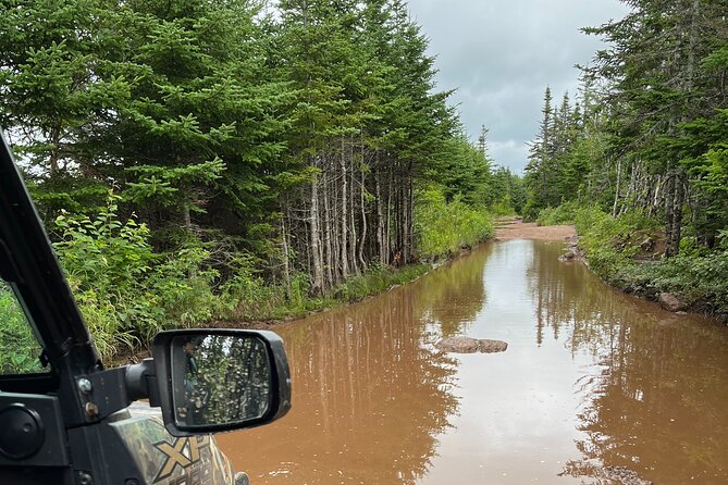 Private Shore Excursion UTV/ATV Side-by-Side Trail Tour - Practical Details Before You Book