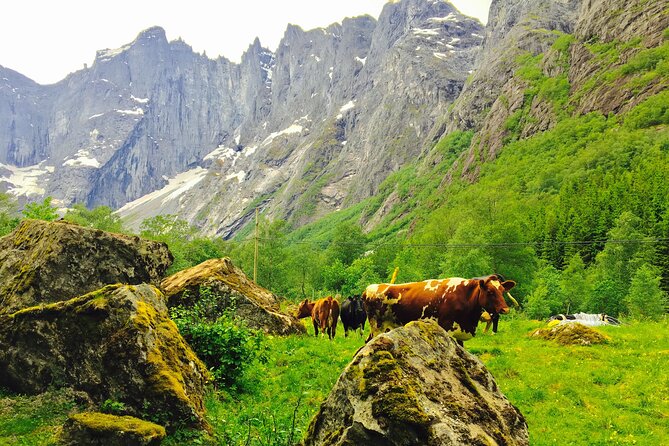 Private shore excursions Ålesund Trollstigen-Trollroad in small (1-4)groups - Stordal Church brings in local culture