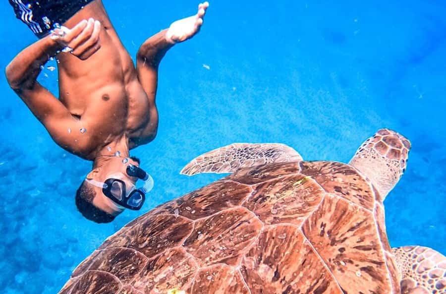 Private Snorkel Experience with Sea Turtle for Cruisers - Meeting your guide at Mindelo port