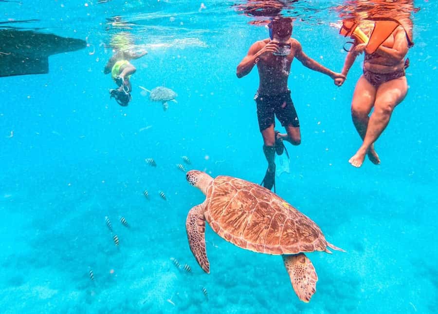 Private Snorkel Experience with Sea Turtle for Cruisers - São Pedro and the short boat ride