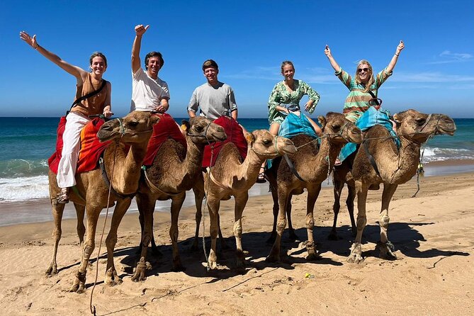 Private Tangier Tour from Ferry or Cruise Ship Including Lunch - Camels at Achakkar Beach