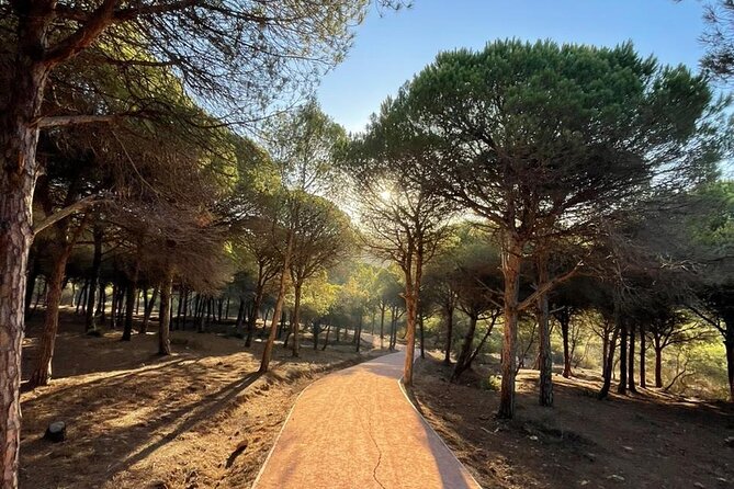 Private Tangier Tour from Ferry or Cruise Ship Including Lunch - A Short Look at Mendoubia Garden