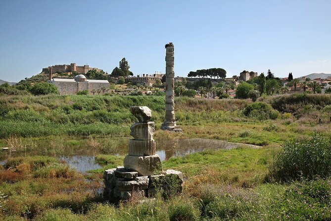 Private Tour: Best of Ephesus for Cruise Passengers. - Who should book this Kusadasi excursion?