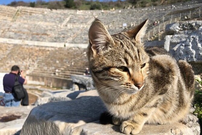 Private Tour : Biblical Ephesus Tour for Cruisers from Kusadasi ( Ephesus ) Port - Guides make the difference