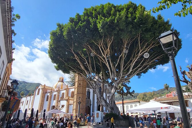 Private Tour from the Port of Las Palmas to Teror Firgas Arucas - What the private vehicle adds