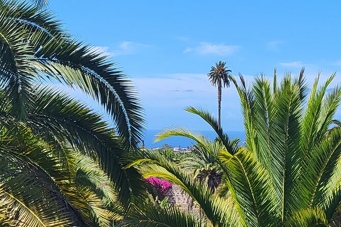 Private Tour from the Port of Las Palmas to Teror Firgas Arucas - Is $232.71 per person good value?