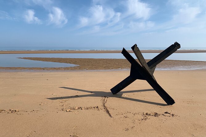 Private tour landing beaches from Le Havre cruise terminal - What to plan for during a nine-hour day