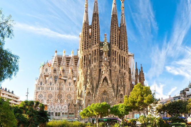 Private Transfer: Cruise Port to Barcelona by Luxury Van - What happens at the cruise port
