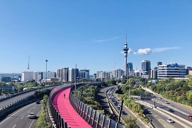 Private Transfer From Auckland CBD Hotels To Cruise Ship - Booking details worth checking