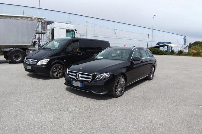 Private Transfer from Livorno Cruise Port to Pisa City Hotels - Who Should Book This Transfer?