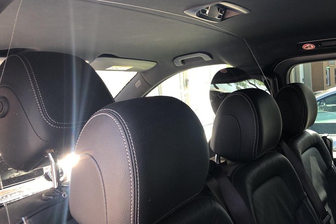 Private Transfer from the Cruise Port Amsterdam to AMS Schiphol - Booking, cancellation, and timing details