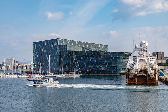 Private Transfer: Reykjavik Cruise Ports to hotels in Reykjavik - Timing, flexibility, and the 30-minute window