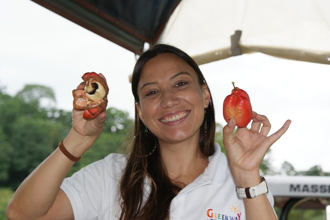 Puerto Limon Highlights 6 in 1 combo Tour. Shore Excursion - Cahuita National Park and the short rainforest walk
