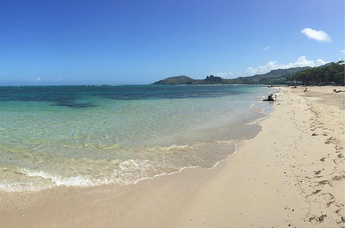 Puerto Plata Shore Excursion: ATV adventure for Amber Cove & Taino Bay Passenger - Who should book this Puerto Plata excursion