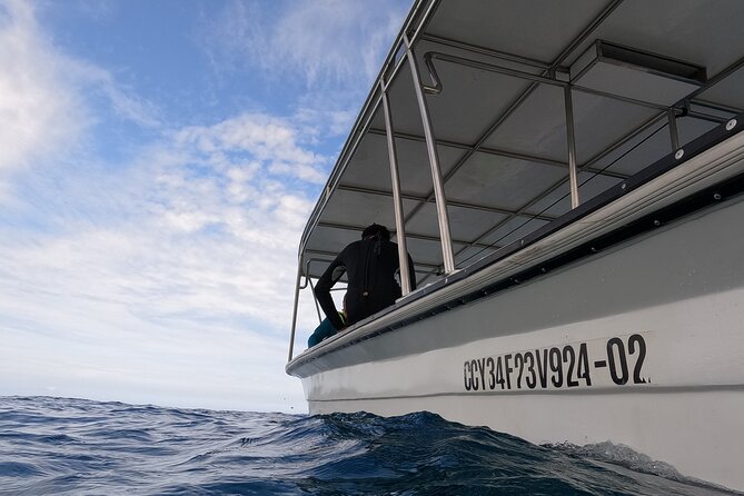 Puerto Plata Shore Excursion, Snorkeling tour & Sosua Beach Day - From Puerto Plata to Sosua Bay