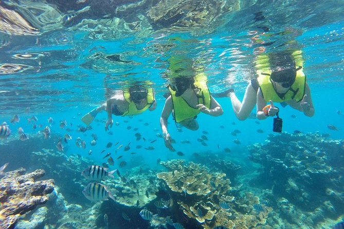 Puerto Plata Shore Excursion, Snorkeling tour & Sosua Beach Day - Photos, timing, and what the price covers
