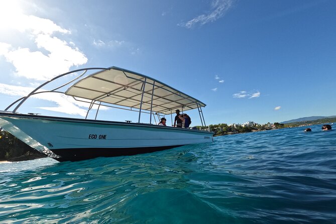 Puerto Plata Shore Excursion, Snorkeling tour & Sosua Beach Day - Who will enjoy this trip most