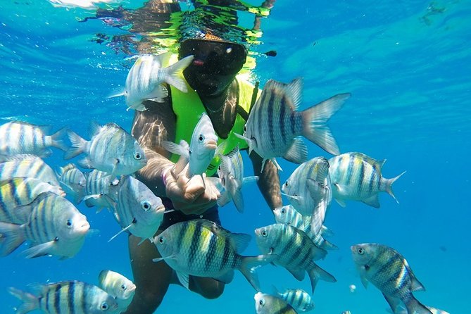 Puerto Plata Shore Excursion, Snorkeling tour & Sosua Beach Day - Two reefs in sheltered Sosua Bay