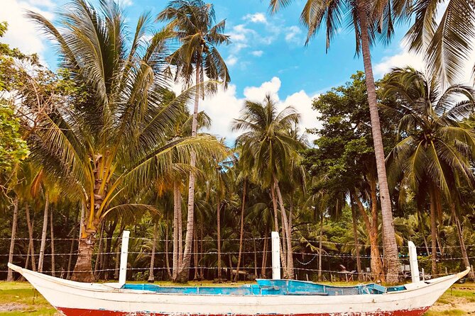 Puerto Princesa Honda Bay Island Hopping Shore Excursion - Is $173 a Good Value?