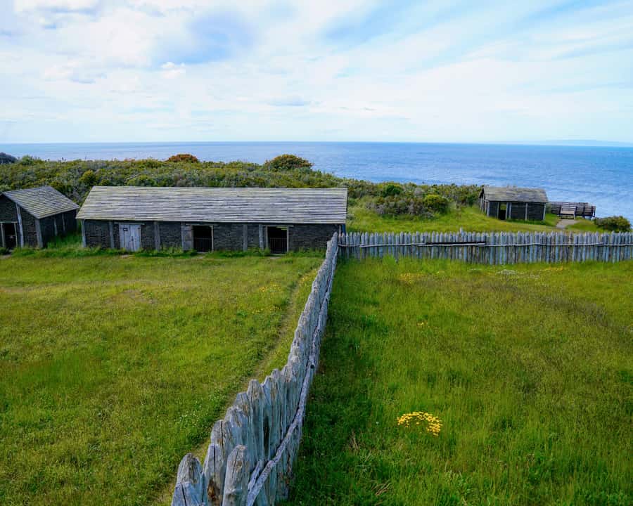 Punta Arenas: Fuerte Bulnes Shore Tour for Cruisers - How the Guides Shape the Day