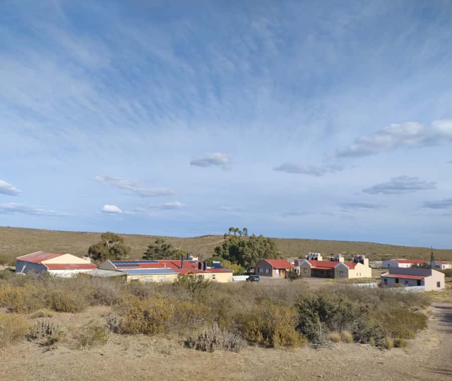 Punta Loma + Ranch Shore Excursion for cruise passengers - Should You Book Punta Loma and San Guillermo Ranch?