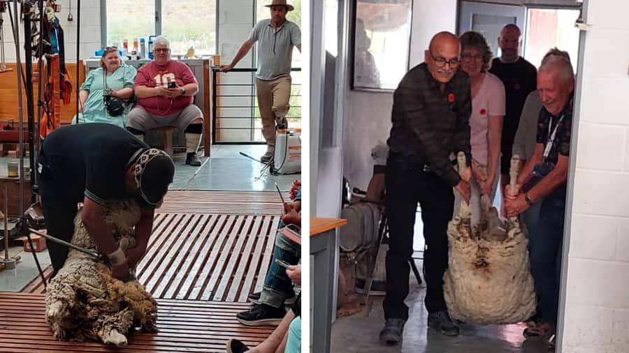 Punta Loma + Ranch Shore Excursion for cruise passengers - Meeting Your Guide at Piedrabuena Pier
