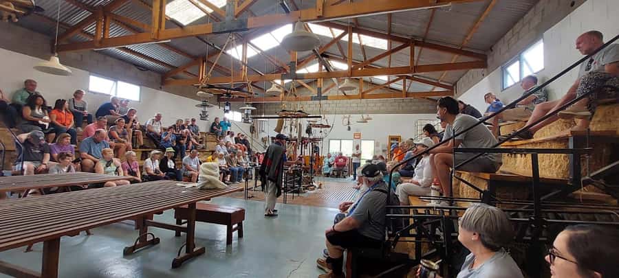 Punta Loma + Ranch Shore Excursion for cruise passengers - Seeing How Wool Is Produced