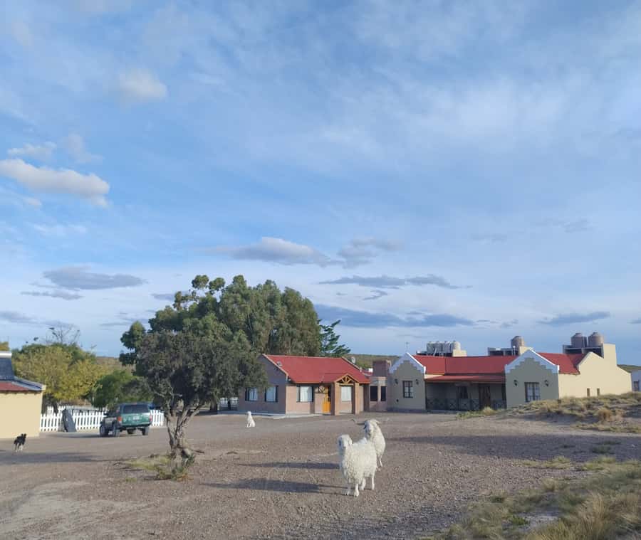 Punta Loma + Ranch Shore Excursion for cruise passengers - Who Will Get the Most From This Excursion?