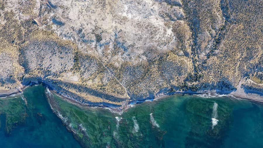 Punta Tombo for cruise-ship passengers - Why Punta Tombo is worth the long ride