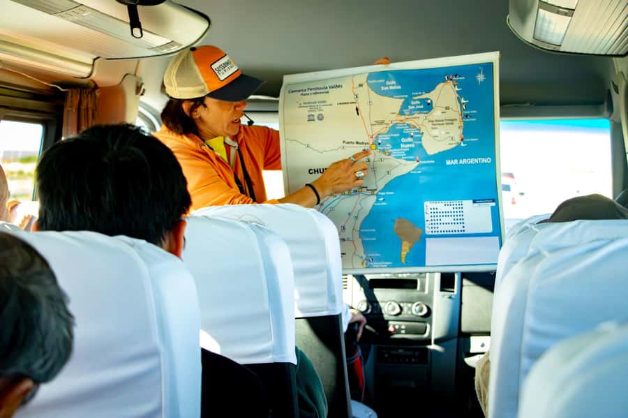 Punta Tombo Shore Excursion for Cruise Passengers + City - Wildlife beyond the main attraction