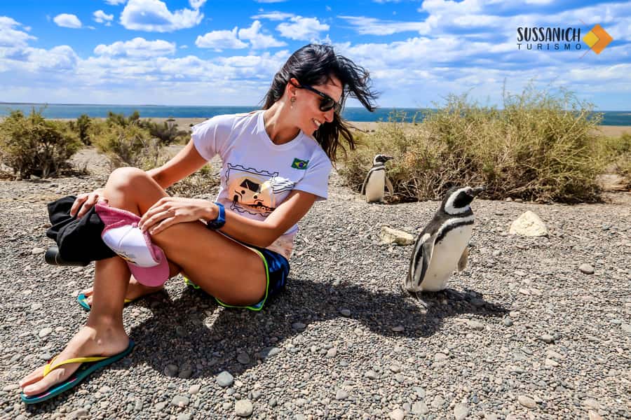 Punta Tombo Shore Excursion for Cruise Passengers + City - The return journey and possible Puerto Madryn city tour
