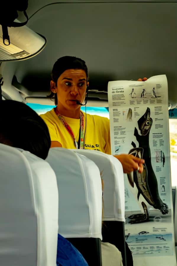 Punta Tombo Shore Excursion for Cruise Passengers + City - What the $105 price really covers