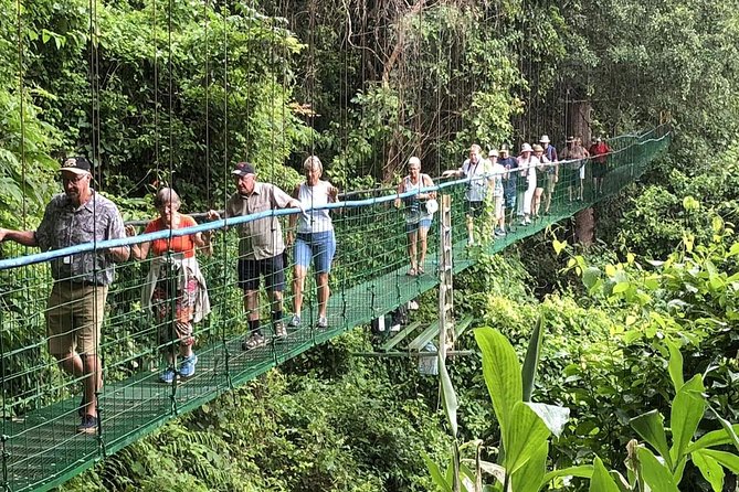Puntarenas Shore Excursion: Rainforest Skywalk & Tarcoles River - The SkyWay: bridges, forest, and Pacific views