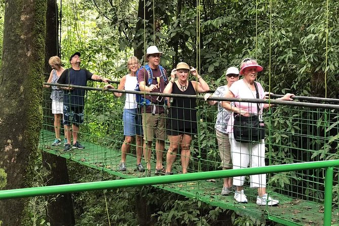Puntarenas Shore Excursion: Rainforest Skywalk & Tarcoles River - Port timing and cancellation details