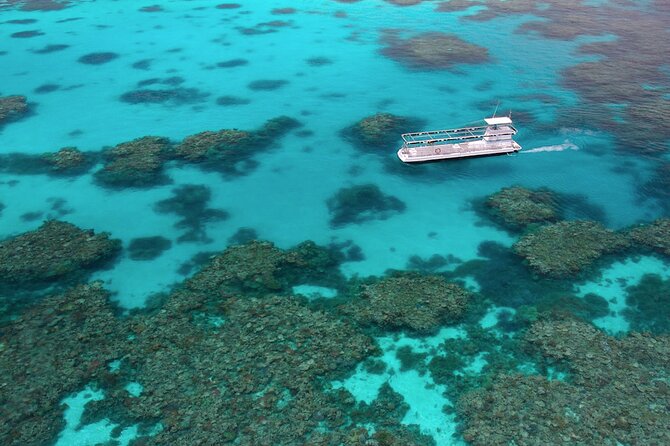Quicksilver Great Barrier Reef Snorkel Cruise from Port Douglas - Lunch, tea, and the practical comfort factor