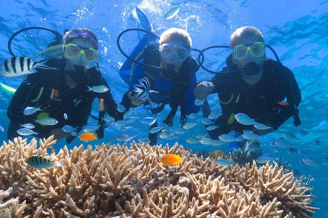 Quicksilver Great Barrier Reef Snorkel Cruise from Port Douglas - How the large operation affects your day