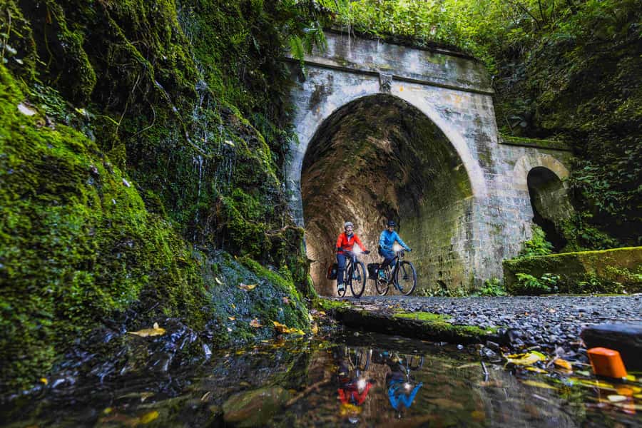 Remutaka Rail Trail eBike Shore Excursion for Cruise Ships - Choosing the Right eBike and Starting the Ride