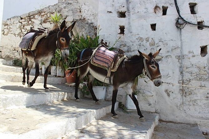 Rhodes, Lindos and Medieval City Guided Tour from Cruise Port - Why this Rhodes shore excursion works