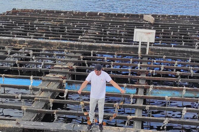 Rias Baixas PRIVATE Shore tour - Combarro’s granite lanes and raised granaries