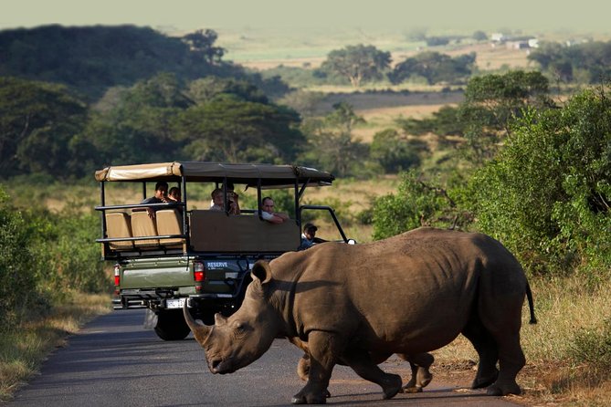 Richards Bay Shore Excursion: Private Small Group Hluhluwe Safari - Key points to know before booking