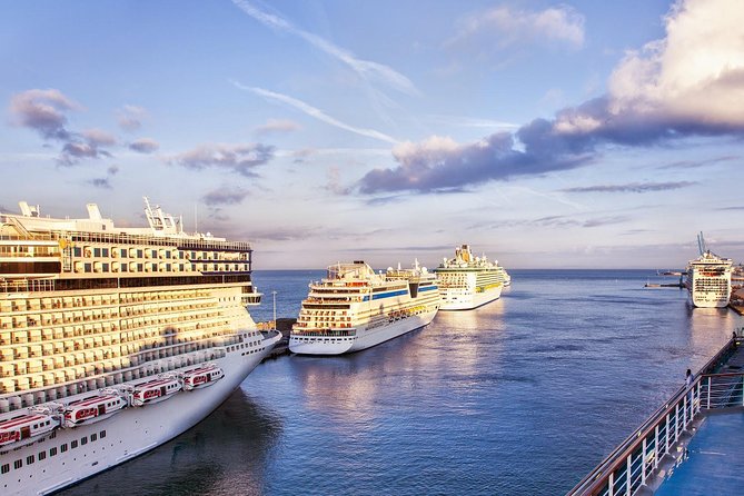 Rome Private Tour from Civitavecchia Cruise Port - Who will benefit most from this private tour?