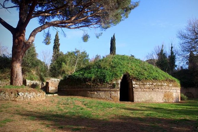 Rome's Enchanting Countryside Port Tour(Driver Only/Self Touring) - The biggest decision: guide or chauffeur?