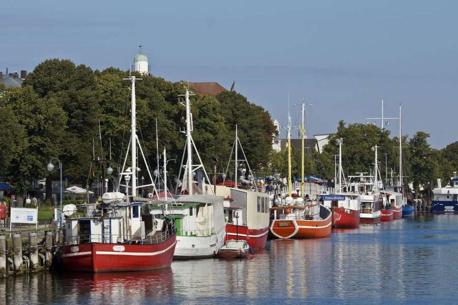 Rostock: Warnemünde and Rostock Half-Day Shore Trip - The 30-minute train and tram ride to Rostock