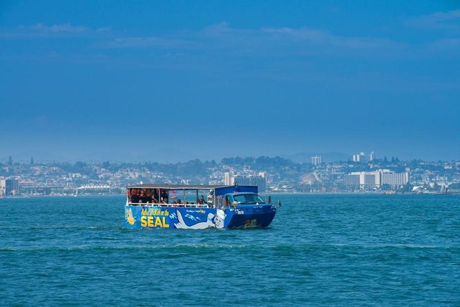 San Diego Shore Excursion: San Diego Seal Tour - San Diego Seal Tour review: the quick verdict