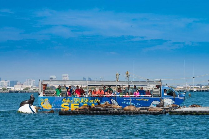 San Diego Shore Excursion: San Diego Seal Tour - Returning past the Maritime Museum and cruise ships