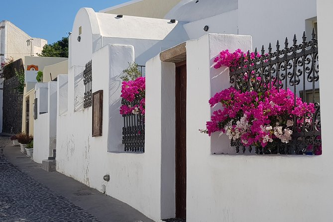 Santorini: 6hr Small Group Shore Excursion Villages & Wine - Crowds, timing, and the reality of a shore excursion