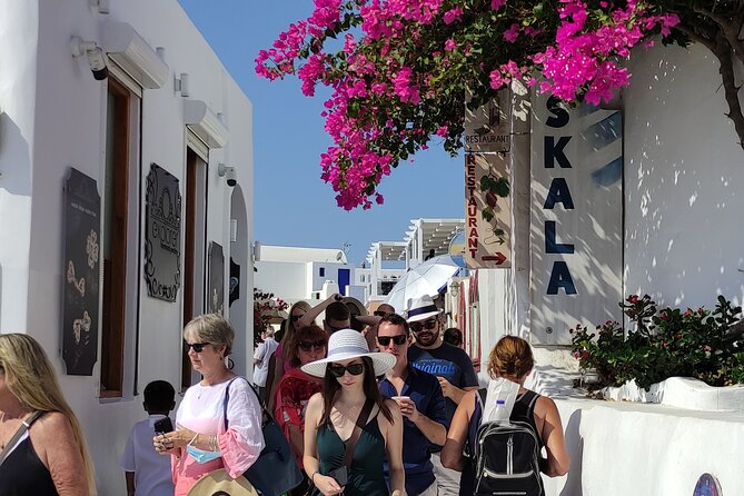 Santorini: Half-Day Island Sightseeing Tour - Transport, walking, and cruise-port realities