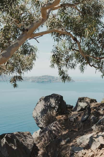 Santorini: Private 3-Hour Highlights Tour for Cruise Guests - What the $123 price means