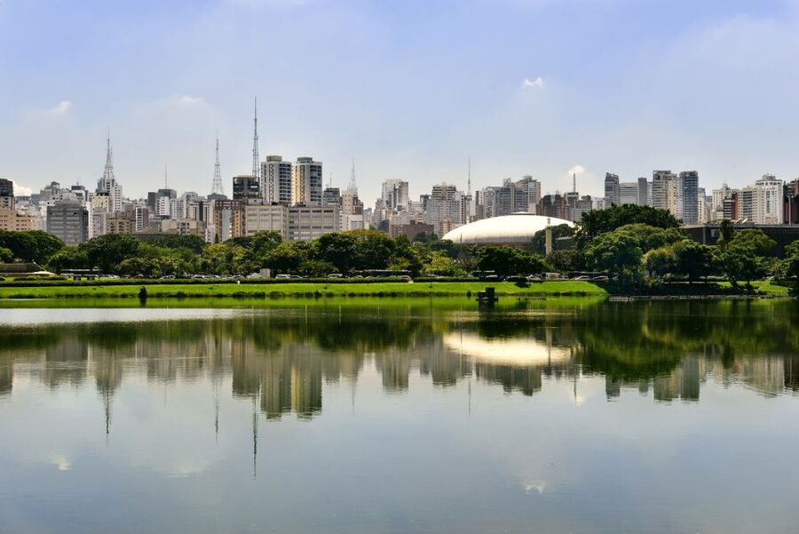 São Paulo: Full-Day Guided City Tour from the Port of Santos - Liberdade and São Paulo’s Japanese-Brazilian identity