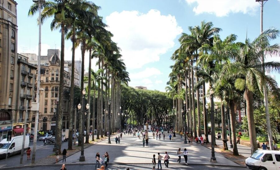 São Paulo: Full-Day Guided City Tour from the Port of Santos - What the day feels like in practice